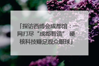 探访西博会成都馆：一网打尽“成都智造” 硬核科技赚足观众眼球