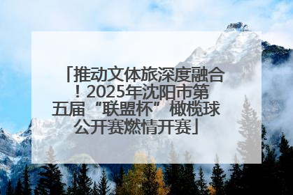 推动文体旅深度融合！2025年沈阳市第五届“联盟杯”橄榄球公开赛燃情开赛