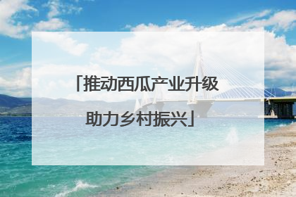 推动西瓜产业升级 助力乡村振兴