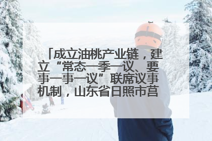 成立油桃产业链，建立“常态一季一议、要事一事一议”联席议事机制，山东省日照市莒县果庄镇——13个党小组“全周期”育果