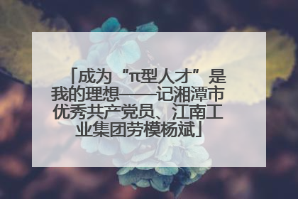 成为“π型人才”是我的理想——记湘潭市优秀共产党员、江南工业集团劳模杨斌
