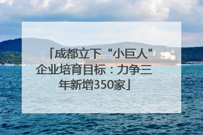成都立下“小巨人”企业培育目标：力争三年新增350家