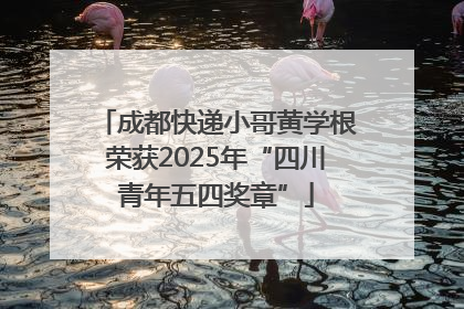 成都快递小哥黄学根荣获2025年“四川青年五四奖章”