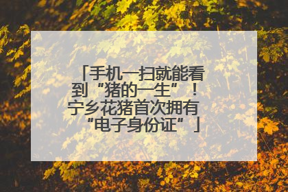 手机一扫就能看到“猪的一生”！宁乡花猪首次拥有“电子身份证”