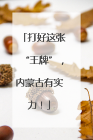 打好这张“王牌”，内蒙古有实力！