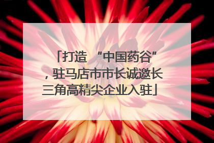 打造 “中国药谷”，驻马店市市长诚邀长三角高精尖企业入驻