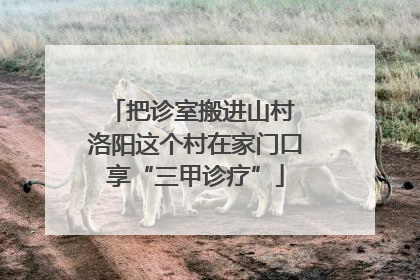 把诊室搬进山村 洛阳这个村在家门口享“三甲诊疗”