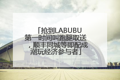 抢到LABUBU第一时间叫跑腿取送，顺丰同城等即配成潮玩经济参与者