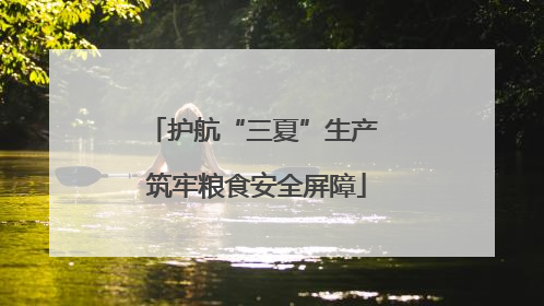 护航“三夏”生产 筑牢粮食安全屏障
