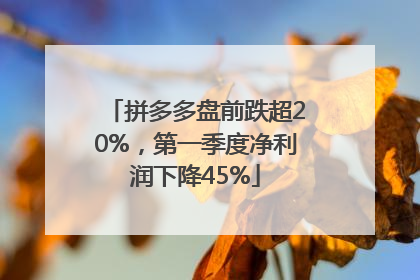 拼多多盘前跌超20%，第一季度净利润下降45%