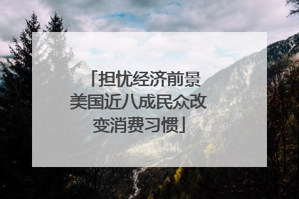 担忧经济前景 美国近八成民众改变消费习惯