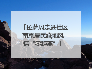 拉萨周走进社区 南京居民藏地风情“零距离”