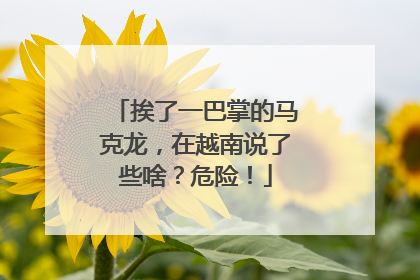挨了一巴掌的马克龙，在越南说了些啥？危险！