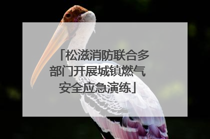 松滋消防联合多部门开展城镇燃气安全应急演练