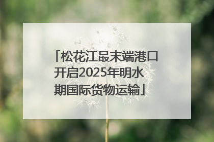 松花江最末端港口开启2025年明水期国际货物运输
