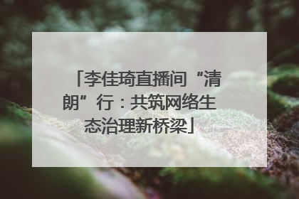 李佳琦直播间“清朗”行：共筑网络生态治理新桥梁