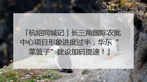 杭绍同城记｜长三角国际农批中心项目形象进度过半，华东“菜篮子”建设加码提速！