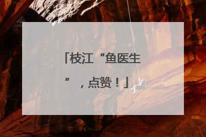 枝江“鱼医生”，点赞！