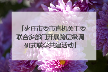 枣庄市委市直机关工委联合多部门开展跨层级调研式联学共建活动