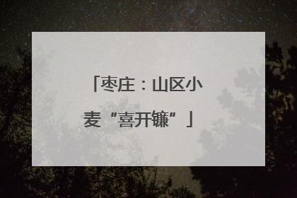 枣庄：山区小麦“喜开镰”