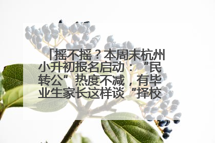 摇不摇？本周末杭州小升初报名启动：“民转公”热度不减，有毕业生家长这样谈“择校真相”……