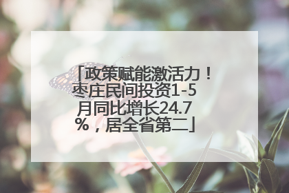 政策赋能激活力！枣庄民间投资1-5月同比增长24.7%，居全省第二