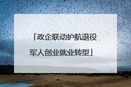 政企联动护航退役军人创业就业转型