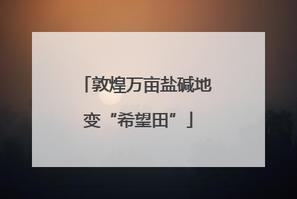 敦煌万亩盐碱地变“希望田”