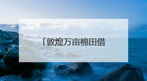 敦煌万亩棉田借北斗导航播种系统实现“精种”