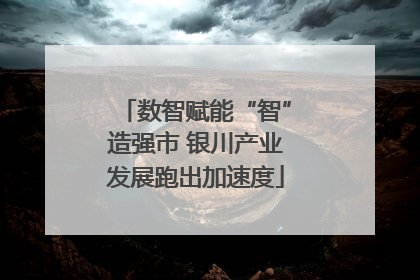 数智赋能“智”造强市 银川产业发展跑出加速度