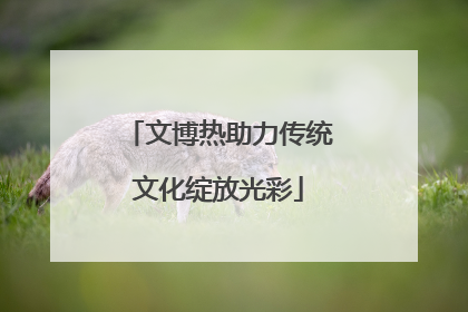 文博热助力传统文化绽放光彩