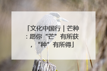 文化中国行｜芒种：愿你“芒”有所获，“种”有所得