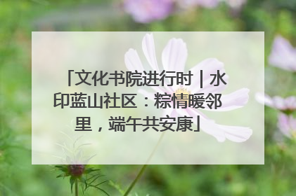 文化书院进行时｜水印蓝山社区：粽情暖邻里，端午共安康