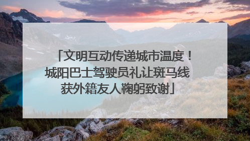 文明互动传递城市温度！城阳巴士驾驶员礼让斑马线获外籍友人鞠躬致谢