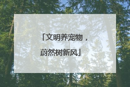 文明养宠物，蔚然树新风