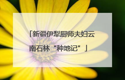 新疆伊犁厨师夫妇云南石林“种地记”
