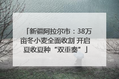 新疆阿拉尔市：38万亩冬小麦全面收割 开启夏收夏种“双重奏”