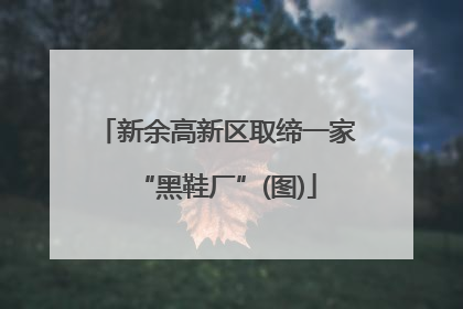 新余高新区取缔一家“黑鞋厂”(图)