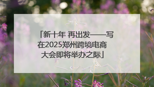 新十年 再出发——写在2025郑州跨境电商大会即将举办之际