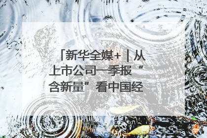 新华全媒+｜从上市公司一季报“含新量”看中国经济发展向“新”
