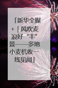 新华全媒+｜风吹麦浪好“丰”景——多地小麦机收一线见闻