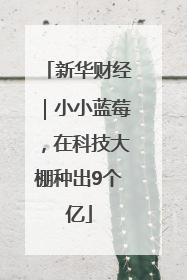 新华财经｜小小蓝莓，在科技大棚种出9个亿