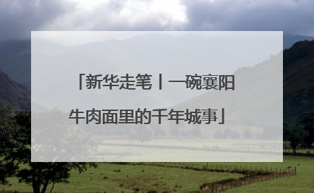新华走笔丨一碗襄阳牛肉面里的千年城事
