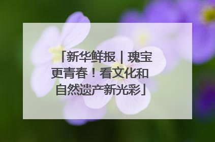 新华鲜报｜瑰宝更青春！看文化和自然遗产新光彩