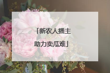 新农人播主 助力卖瓜难