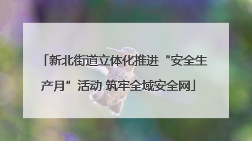新北街道立体化推进“安全生产月”活动 筑牢全域安全网