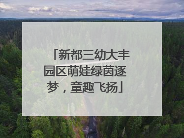 新都三幼大丰园区萌娃绿茵逐梦，童趣飞扬