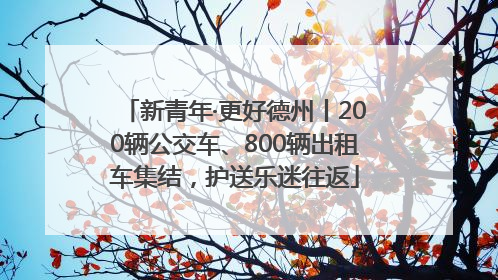 新青年·更好德州丨200辆公交车、800辆出租车集结，护送乐迷往返