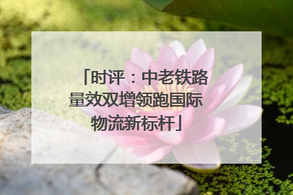 时评：中老铁路量效双增领跑国际物流新标杆
