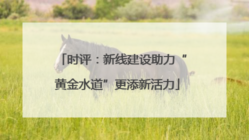 时评：新线建设助力“黄金水道”更添新活力